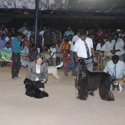 Plants: image 1 0f 4 thumb