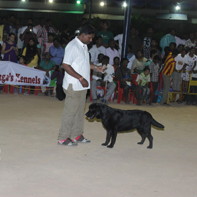 Plants: image 1 0f 4 thumb