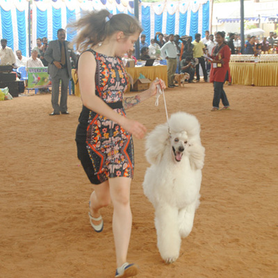 Plants: image 1 0f 4 thumb