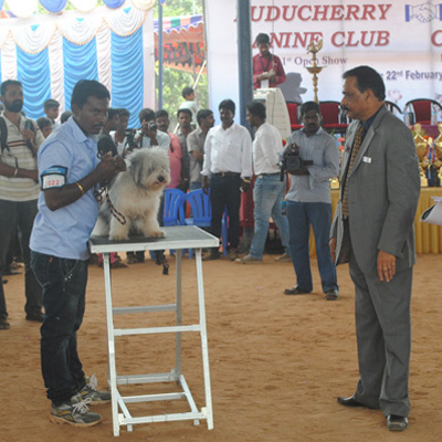 Plants: image 1 0f 4 thumb