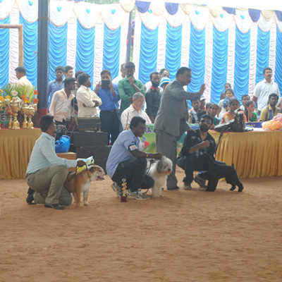 Plants: image 1 0f 4 thumb