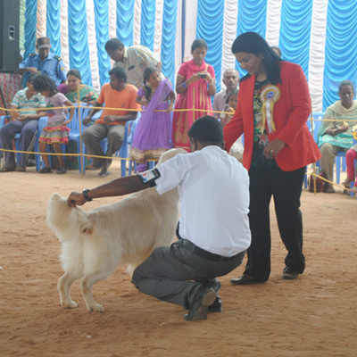 Plants: image 1 0f 4 thumb