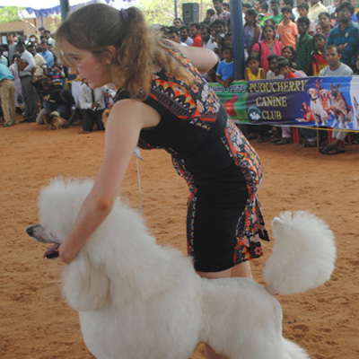 Plants: image 1 0f 4 thumb