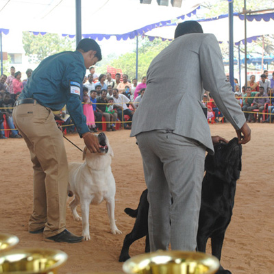 Plants: image 1 0f 4 thumb