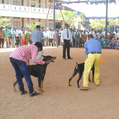 Plants: image 1 0f 4 thumb