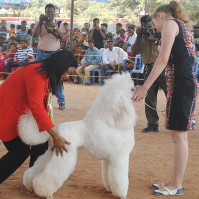 Plants: image 1 0f 4 thumb