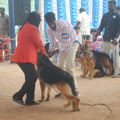 Plants: image 1 0f 4 thumb