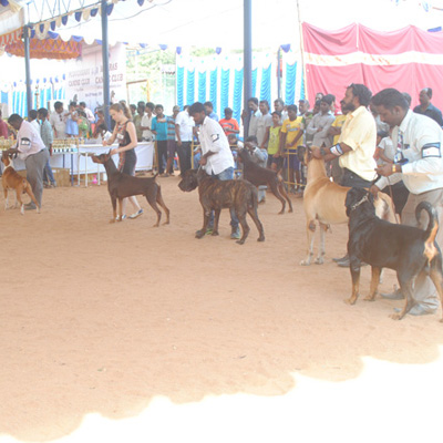 Plants: image 1 0f 4 thumb