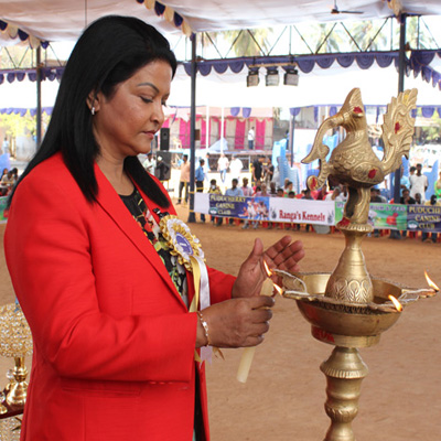 Plants: image 1 0f 4 thumb