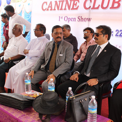 Plants: image 1 0f 4 thumb