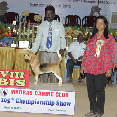 Plants: image 1 0f 4 thumb