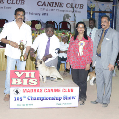 Plants: image 1 0f 4 thumb