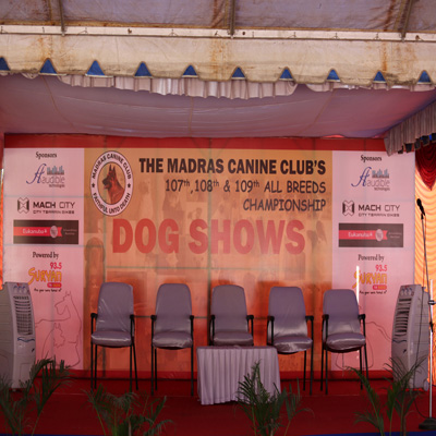 Plants: image 1 0f 4 thumb