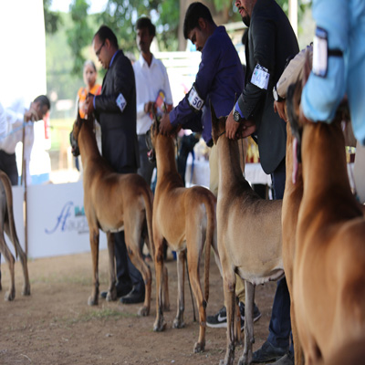 Plants: image 1 0f 4 thumb