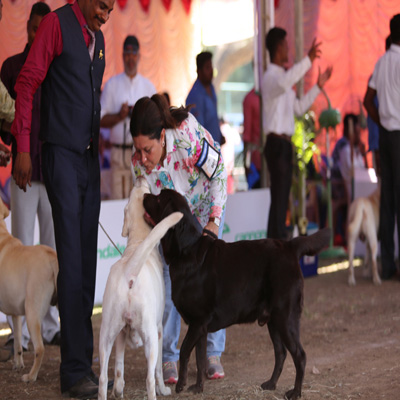 Plants: image 1 0f 4 thumb