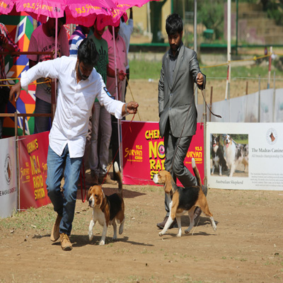 Plants: image 1 0f 4 thumb