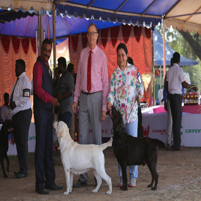 Plants: image 1 0f 4 thumb