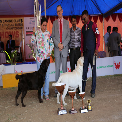 Plants: image 1 0f 4 thumb