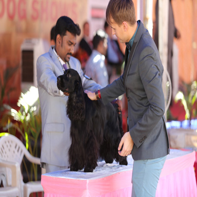 Plants: image 1 0f 4 thumb