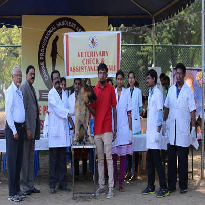 Plants: image 1 0f 4 thumb