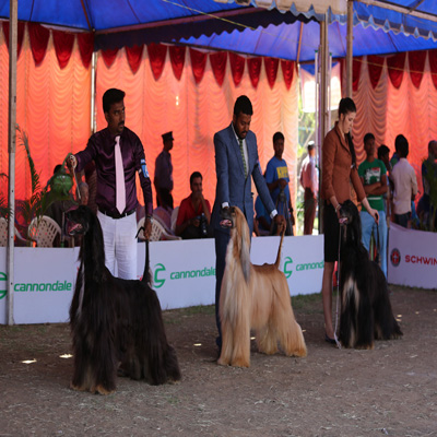 Plants: image 1 0f 4 thumb