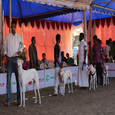 Plants: image 1 0f 4 thumb