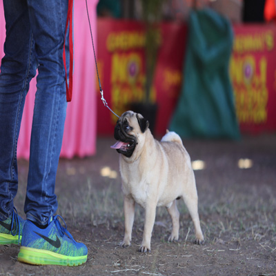 Plants: image 1 0f 4 thumb