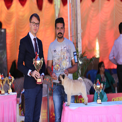 Plants: image 1 0f 4 thumb