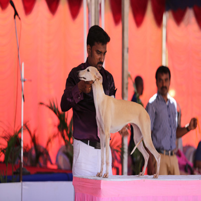 Plants: image 1 0f 4 thumb