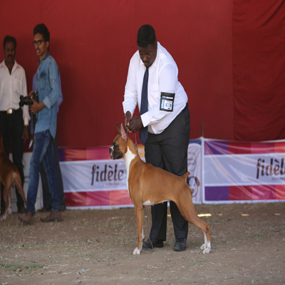 Plants: image 1 0f 4 thumb