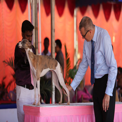 Plants: image 1 0f 4 thumb