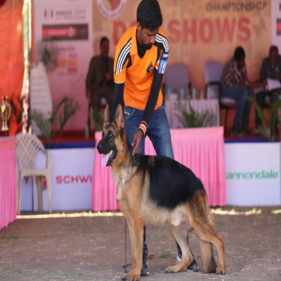 Plants: image 1 0f 4 thumb