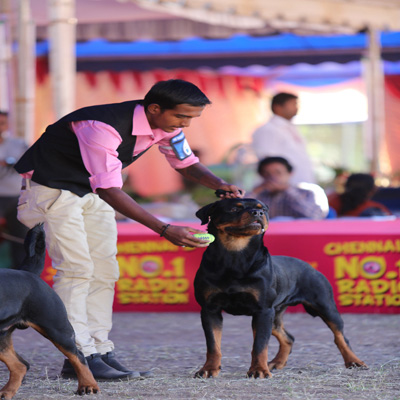 Plants: image 1 0f 4 thumb