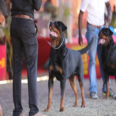 Plants: image 1 0f 4 thumb