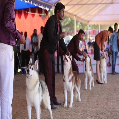 Plants: image 1 0f 4 thumb