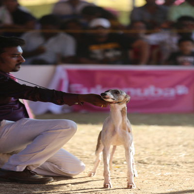 Plants: image 1 0f 4 thumb