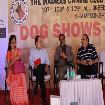 Plants: image 1 0f 4 thumb