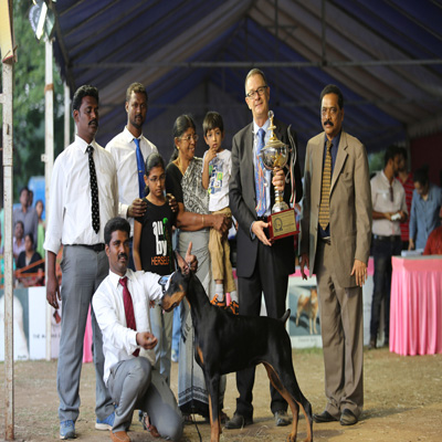 Plants: image 1 0f 4 thumb