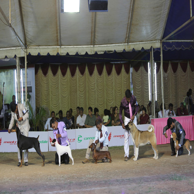 Plants: image 1 0f 4 thumb