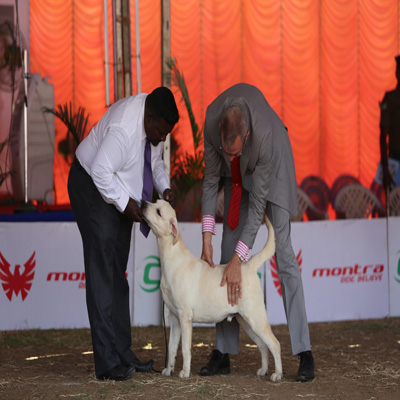 Plants: image 1 0f 4 thumb