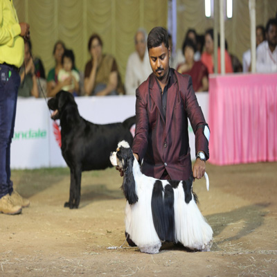 Plants: image 1 0f 4 thumb