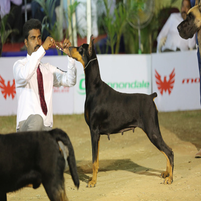 Plants: image 1 0f 4 thumb