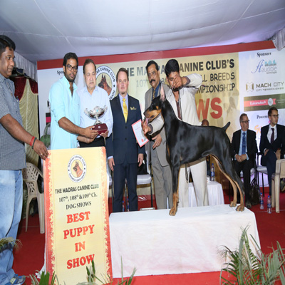 Plants: image 1 0f 4 thumb