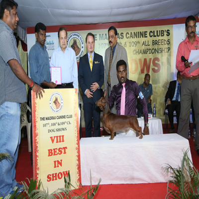 Plants: image 1 0f 4 thumb