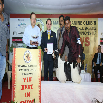 Plants: image 1 0f 4 thumb