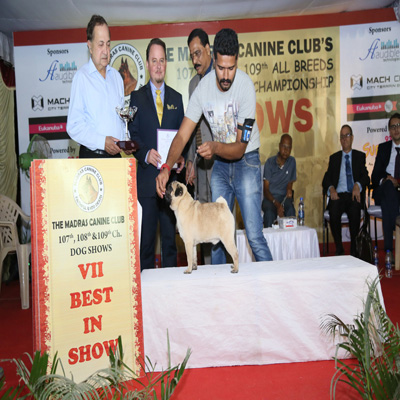 Plants: image 1 0f 4 thumb