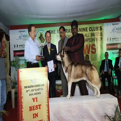 Plants: image 1 0f 4 thumb