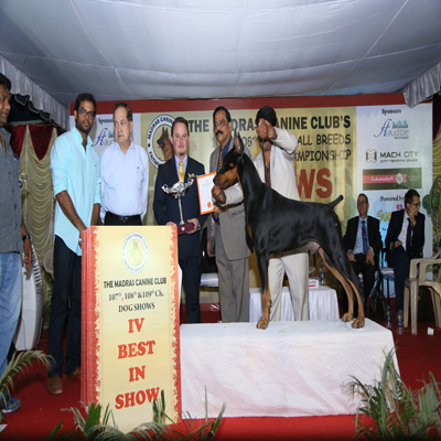 Plants: image 1 0f 4 thumb