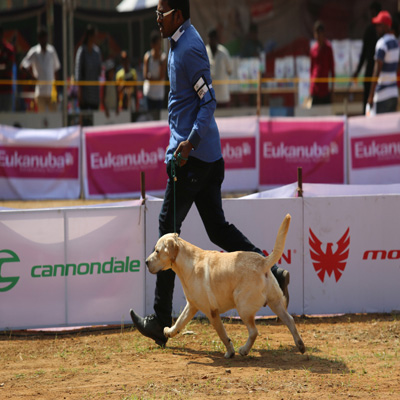 Plants: image 1 0f 4 thumb