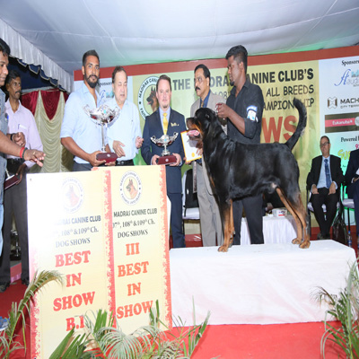 Plants: image 1 0f 4 thumb